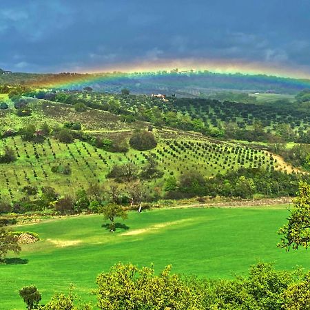 Le Tartarughe Rooms Magliano in Toscana Luaran gambar