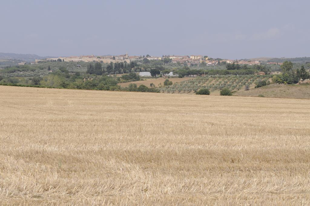 Le Tartarughe Rooms Magliano in Toscana Luaran gambar