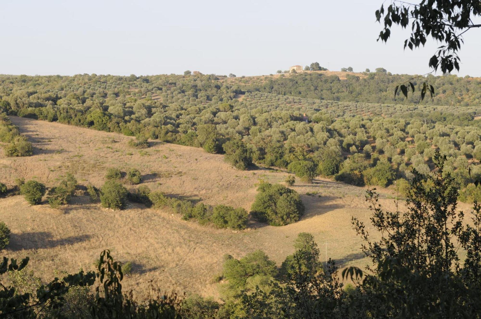 Le Tartarughe Rooms Magliano in Toscana Luaran gambar