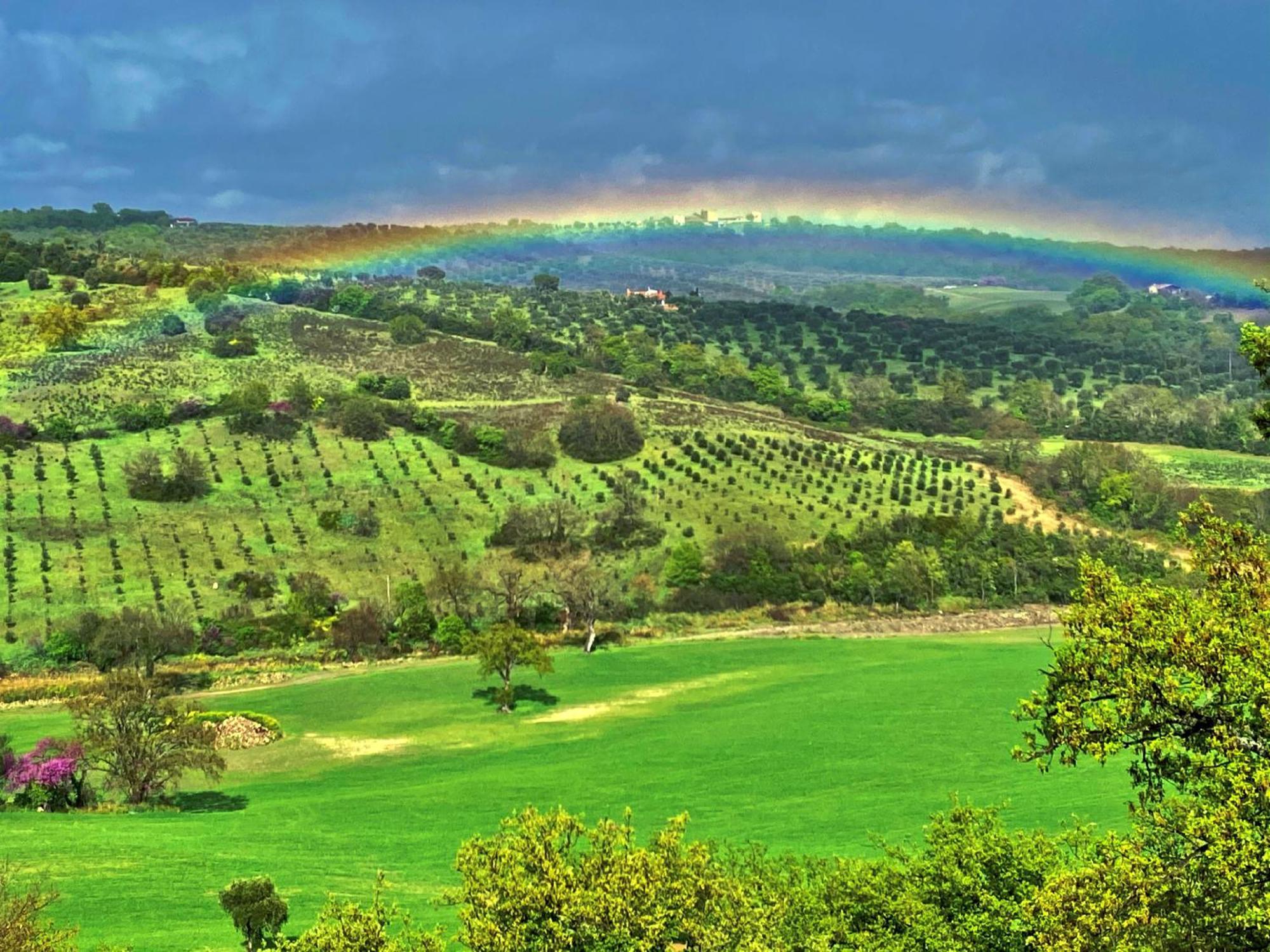 Le Tartarughe Rooms Magliano in Toscana Luaran gambar