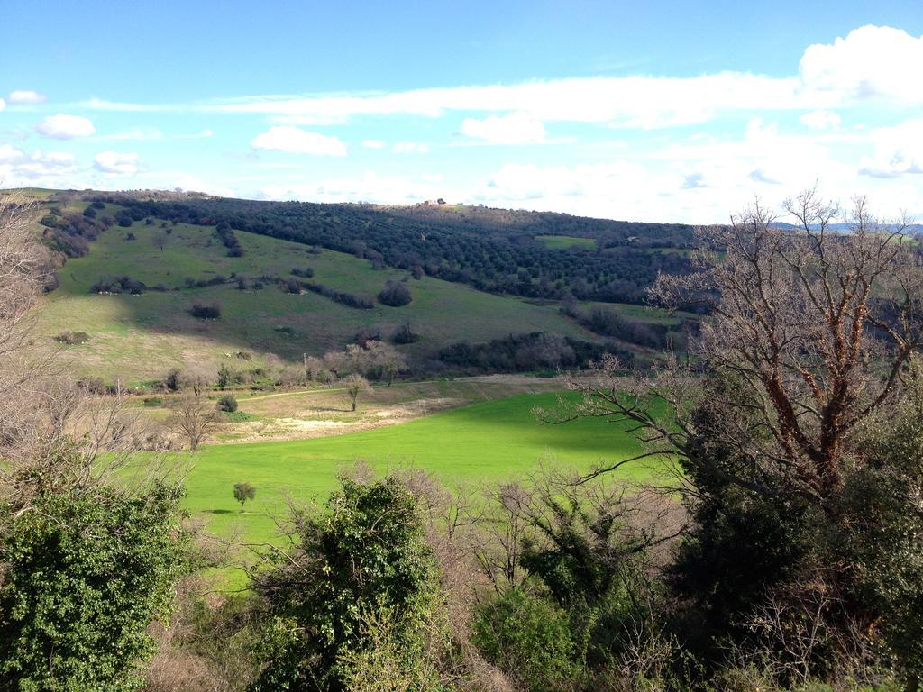 Le Tartarughe Rooms Magliano in Toscana Luaran gambar