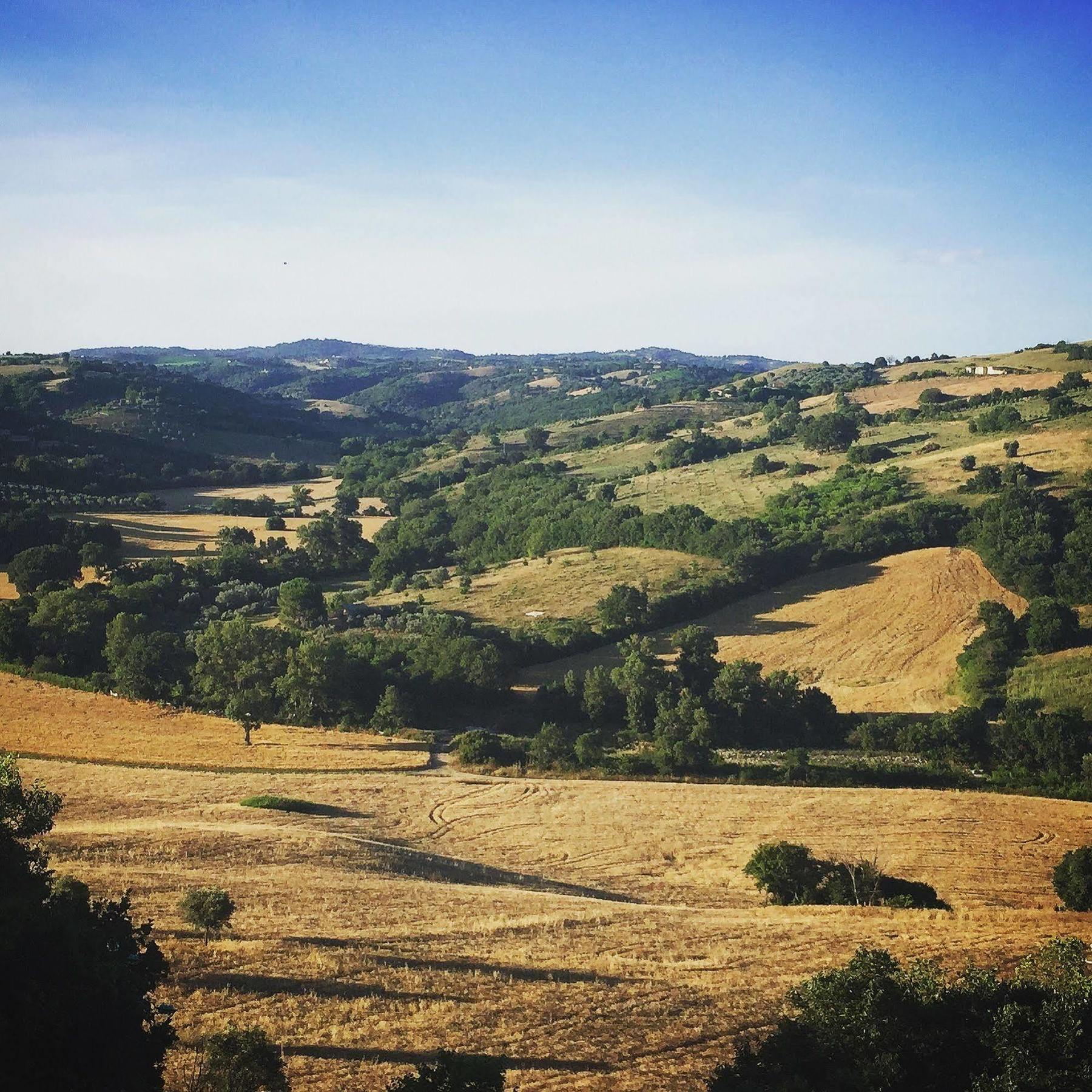 Le Tartarughe Rooms Magliano in Toscana Luaran gambar