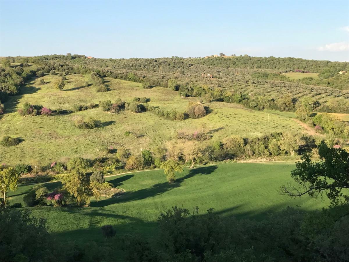 Le Tartarughe Rooms Magliano in Toscana Luaran gambar